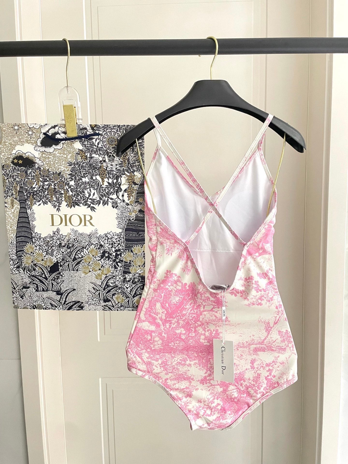 Dior Backless One-Piece Swimsuit