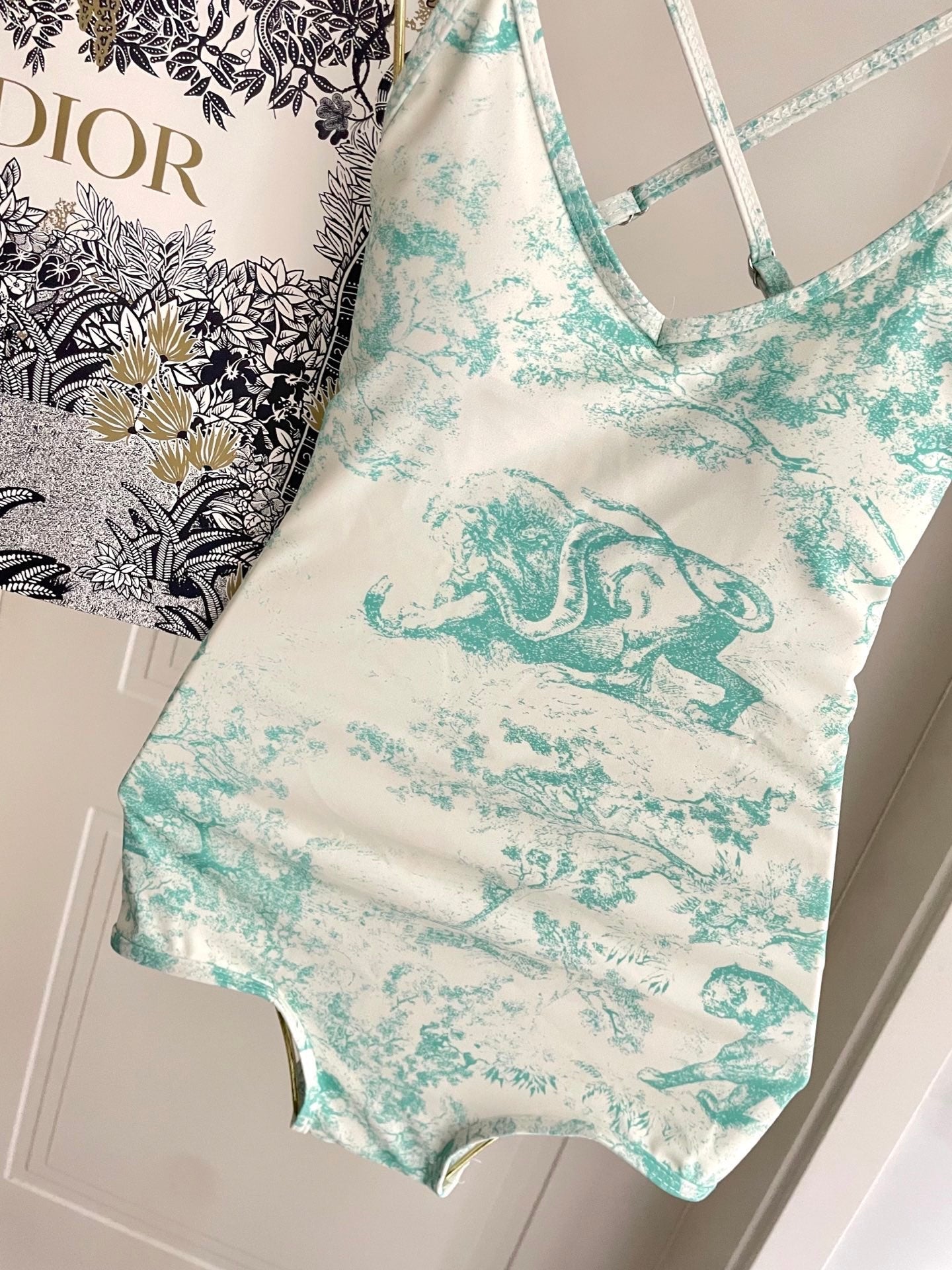 Dior Backless One-Piece Swimsuit