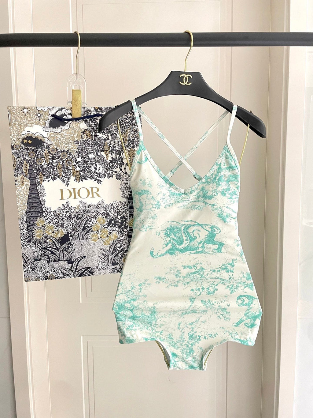 Dior Backless One-Piece Swimsuit