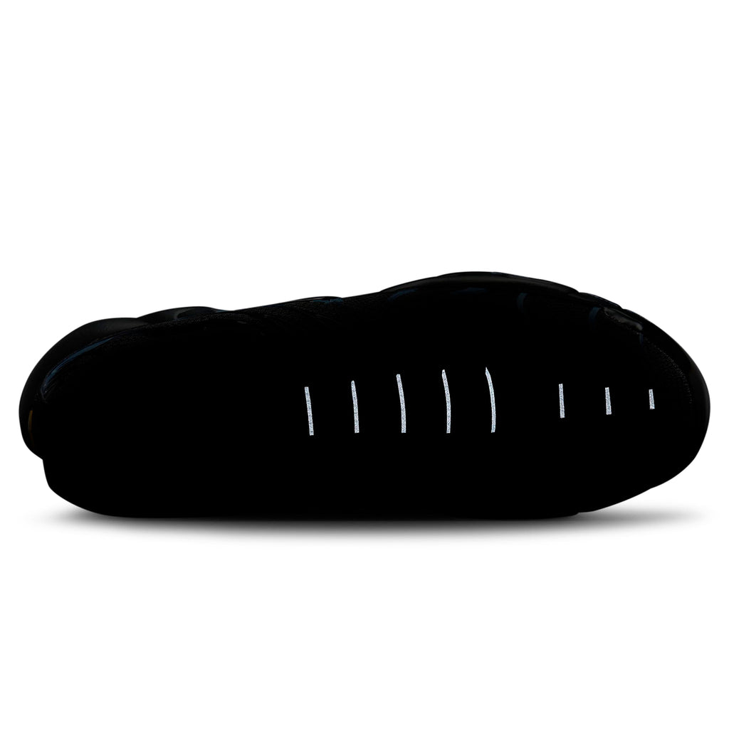 Nike TN Air Max Plus Black University Blue (2022) Sneakers